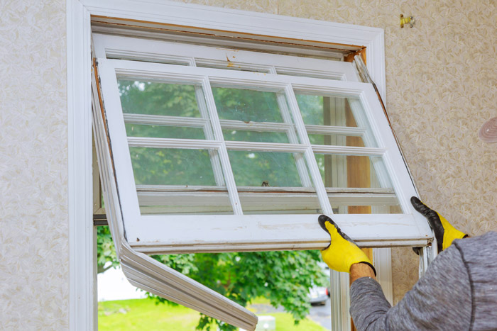 Window Designs