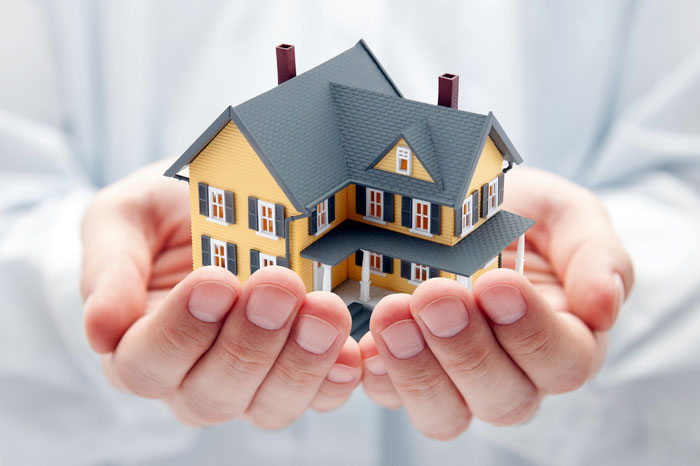 Property Investment